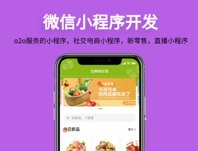 自貢小程序商城開(kāi)發(fā)制作,開(kāi)發(fā)一個(gè)小程序商城需要多少錢(qián)